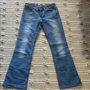 Express Denim Flare Jeans in Blue